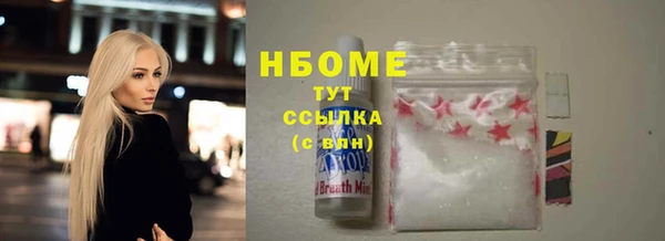 хмурый Арсеньев