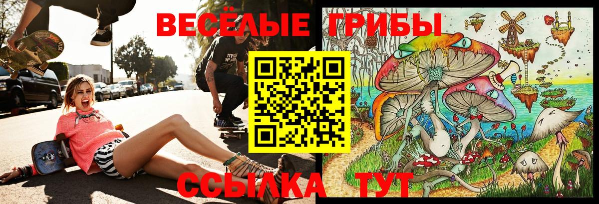 Псилоцибиновые грибы Magic Shrooms Саров